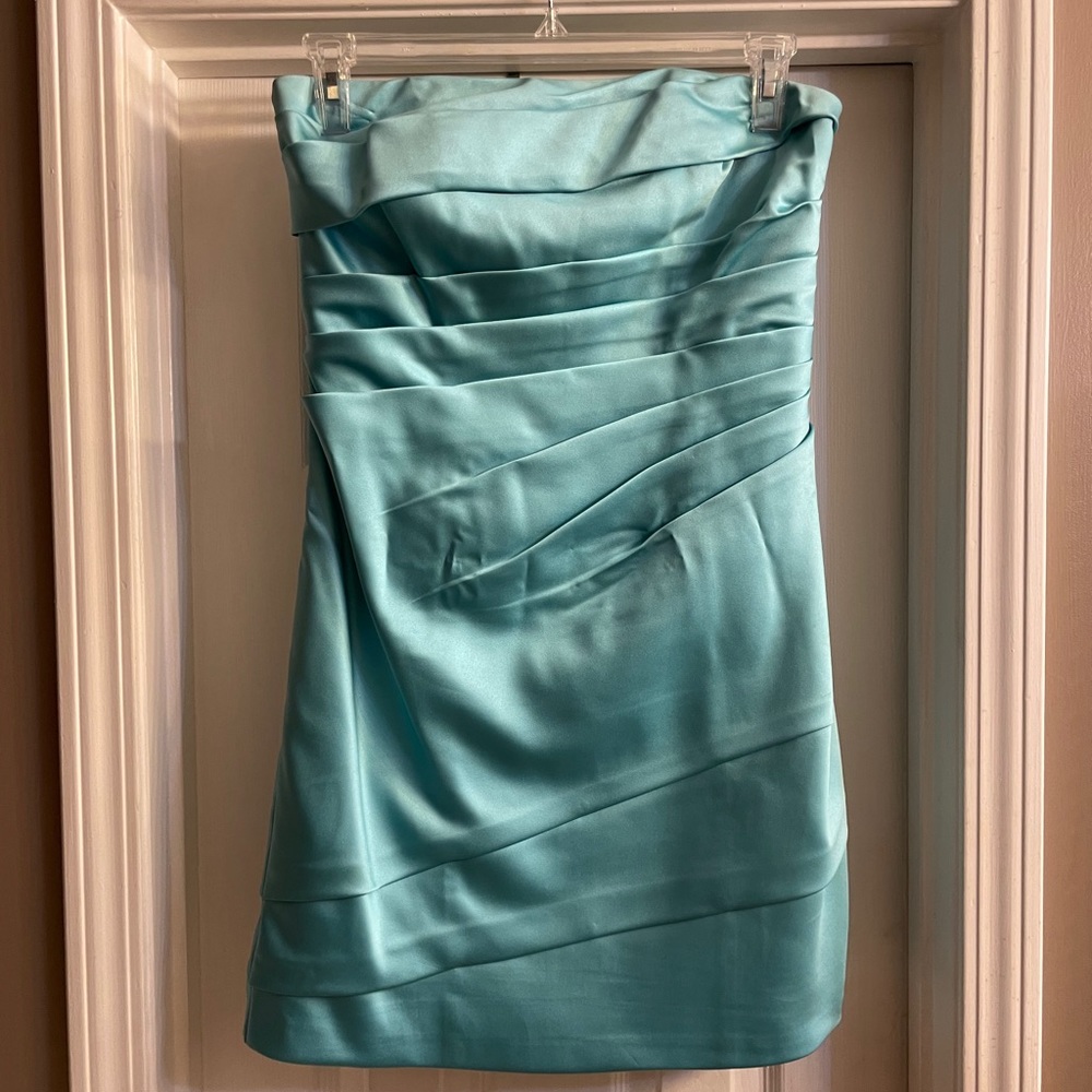 David’s Bridal Bridesmaid dress